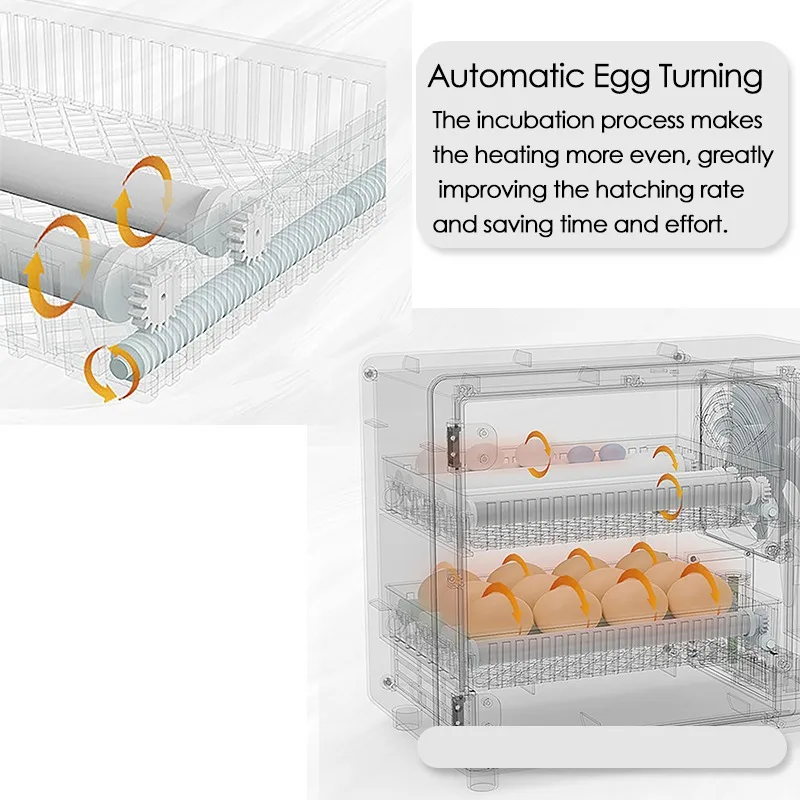 Inkubator 24 telur, mesin pene - Lab Incubator ulasan dan harga