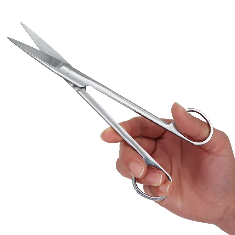 Gunting bedah gigi dari baja t - Medical Scissors ulasan dan harga