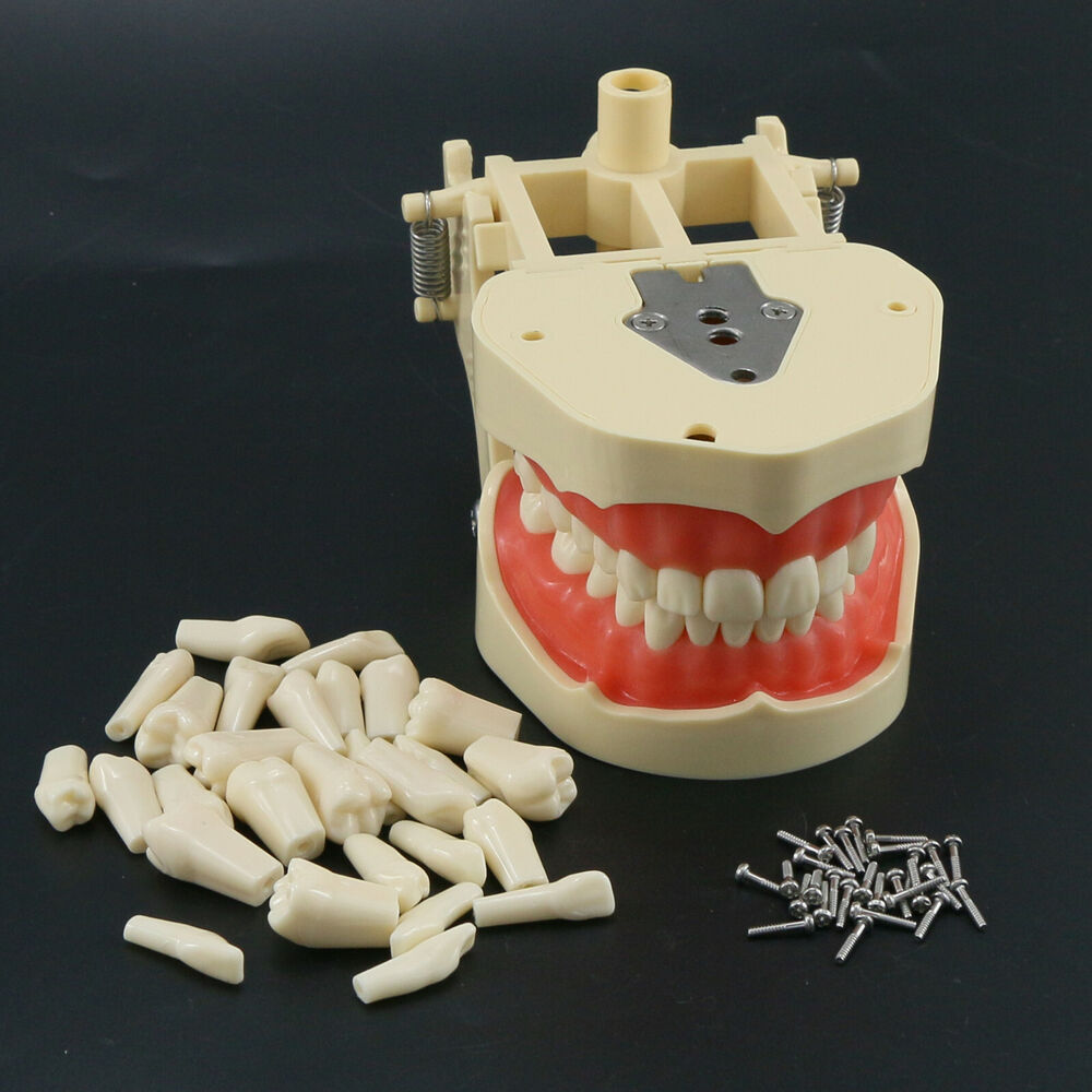Frastiana-4 Dental restoratif  - Stethoscope ulasan dan harga