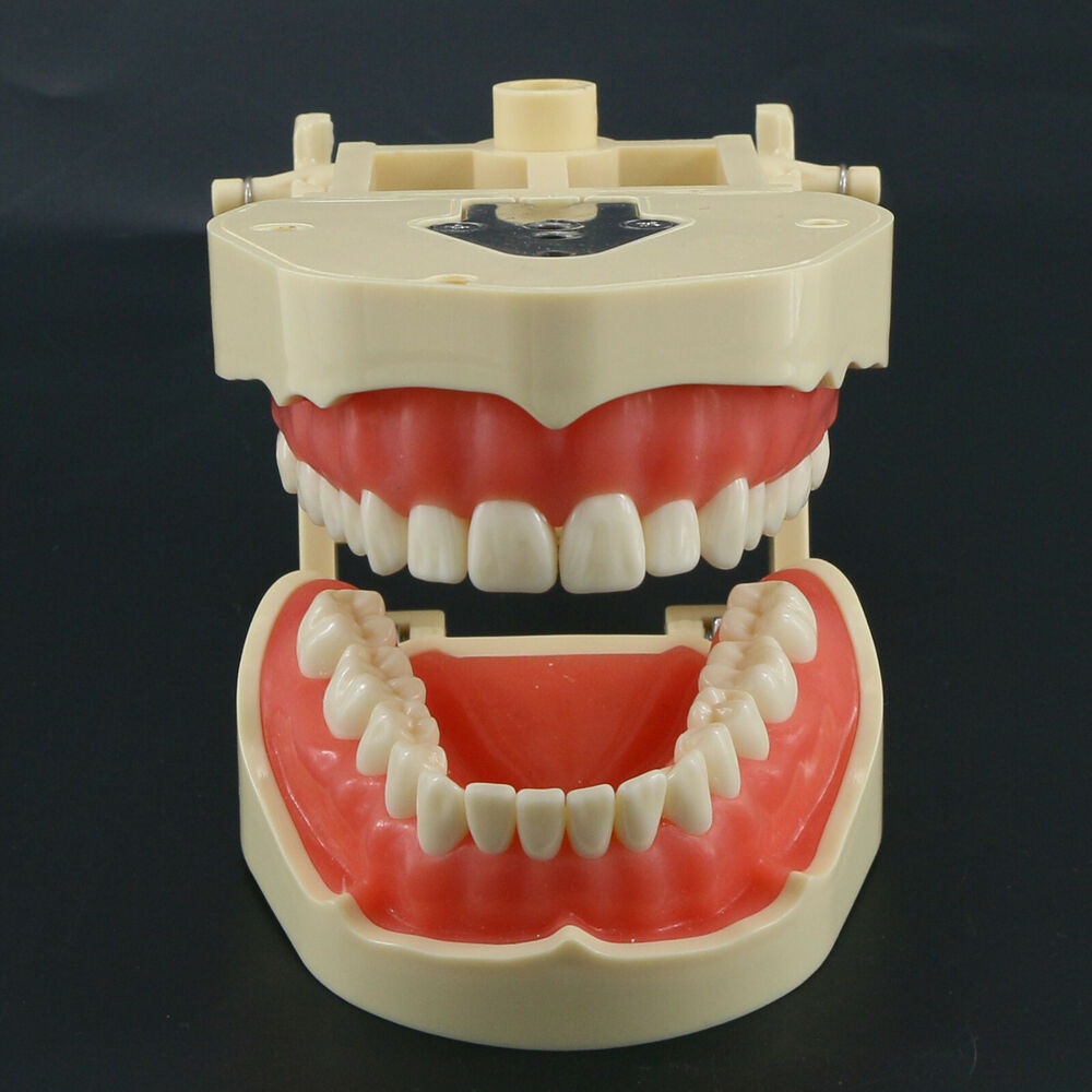 Frastiana-4 Dental restoratif  - Stethoscope ulasan dan harga