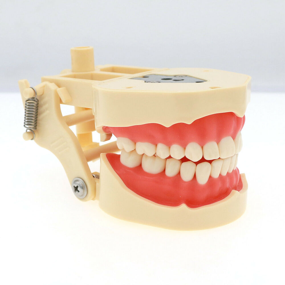 Frastiana-4 Dental restoratif  - Stethoscope ulasan dan harga
